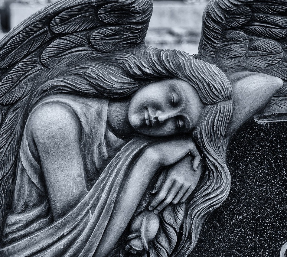 Кремация животных, эвтаназия животных, эвтаназия домашних животных